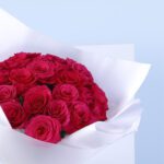 4 - Stunning Hotspot Roses