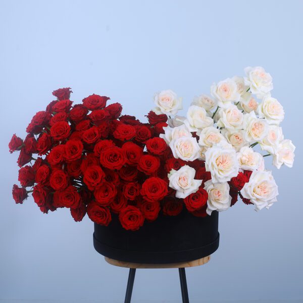 Red and White Roses in a Round Box for Valentine's Day