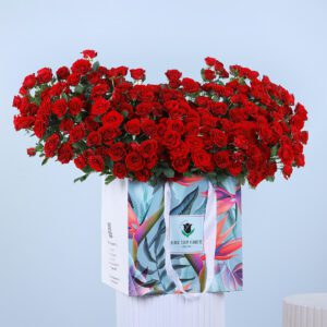 60-Stem Red Baby Roses Arrangement in a easy to carry colourful bag.