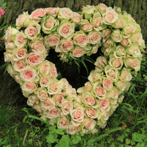 A heart-shaped wreath made of pale pink and white roses nestled at the base of a tree.