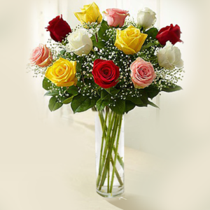A glass vase filled with water holds a bouquet of a dozen roses in various colors, including red, pink, yellow, and white.