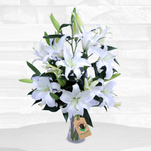 A glass vase filled with water holds a bouquet of white lilies against a light-colored background. The lilies are in full bloom, with their petals fully open and a delicate white color.