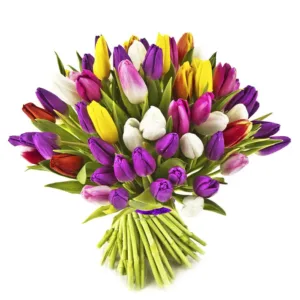 A bouquet of tulips in various colors, including purple, yellow, white, pink, and red, is arranged in a rounded shape against a white background.