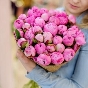 A person is holding a bouquet of pink peonies wrapped in brown paper. The peonies are a deep, vibrant pink and are arranged in a rounded, full shape.