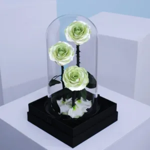 Gradient Ramp Green Forever Rose in Glass Dome