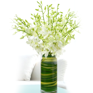 The splashes of a white bouquet on the captivating White Dendrobium Orchids never fail to delight your lucky recipients.
