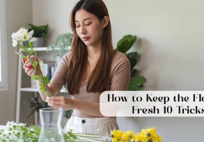 Discover 10 expert tricks on how to make flowers last longer, keep roses alive, and preserve fresh flowers at home—even without a fridge!