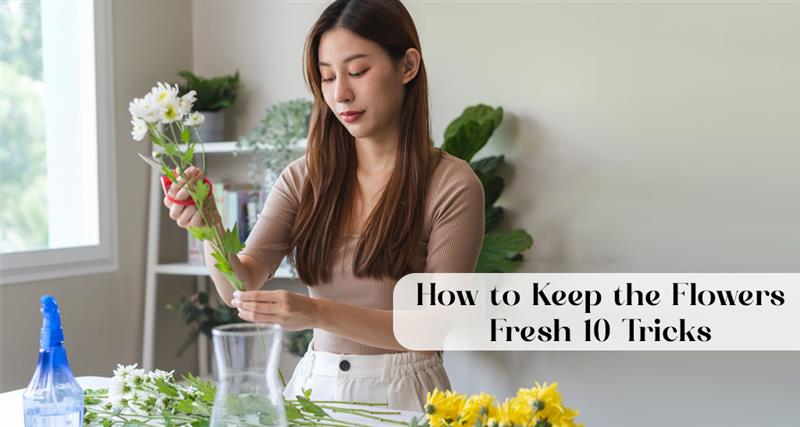 Discover 10 expert tricks on how to make flowers last longer, keep roses alive, and preserve fresh flowers at home—even without a fridge!