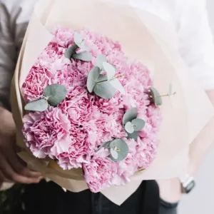 Pink pushes the romantic mood in us and so do these beautiful Pink Carnations.