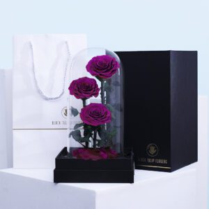 3 Purple preserved forever roses in a glass dome with a black base.