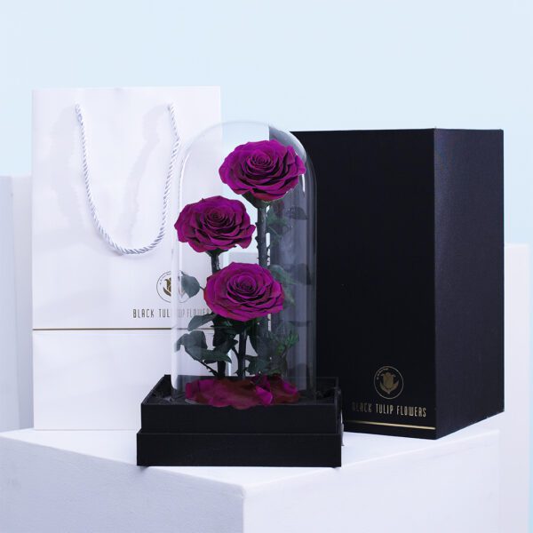 3 Purple preserved forever roses in a glass dome with a black base.