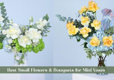 "Charming small flowers and petite bouquets arranged in mini vases, perfect for compact spaces and subtle decor."