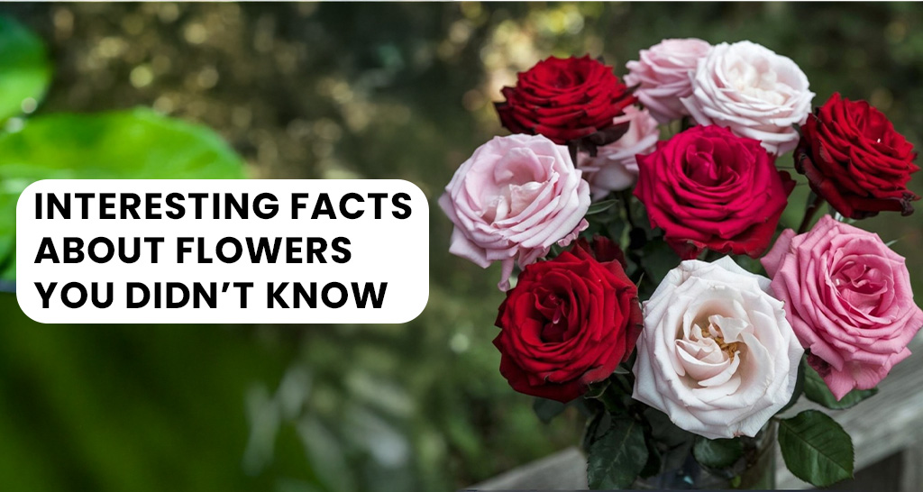 A vibrant collage of unique and exotic flowers showcasing their diversity and beauty, representing surprising and fun flower facts.