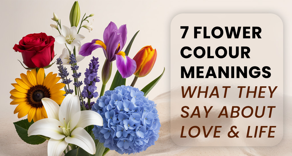 7 flower colors showing love & life — red, pink, white, yellow, orange, purple, blue.