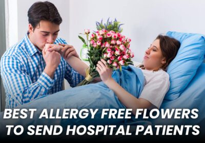 A gentle bouquet of allergy-free flowers like orchids, roses, and snapdragons arranged in a vase, ideal for brightening a hospital room without triggering sensitivities.