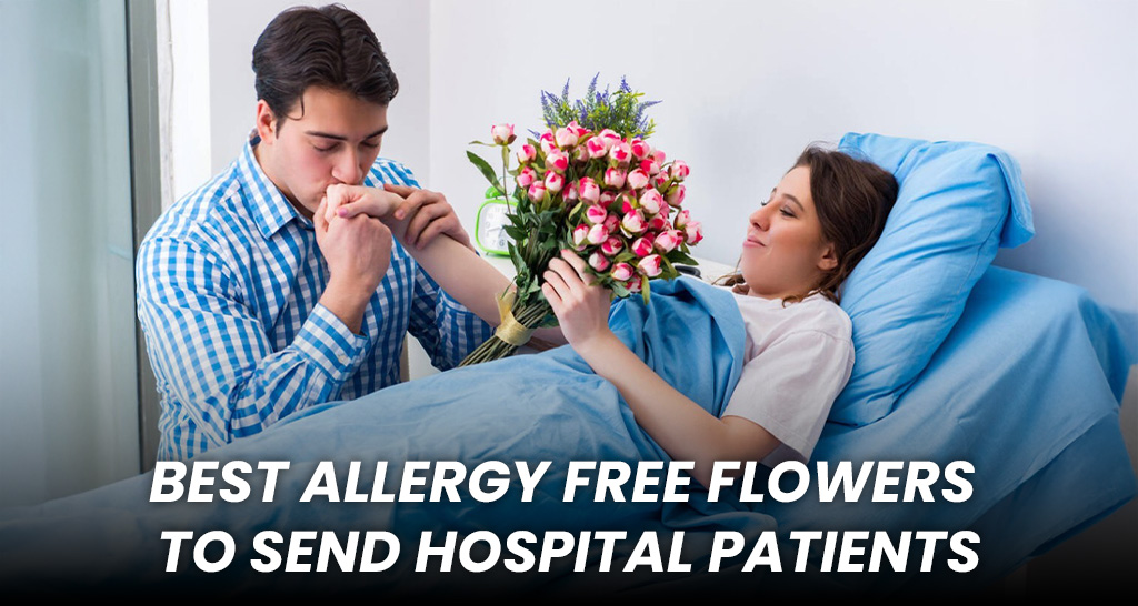 A gentle bouquet of allergy-free flowers like orchids, roses, and snapdragons arranged in a vase, ideal for brightening a hospital room without triggering sensitivities.