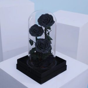 Three black preserved roses showcased in a dome atop a black base