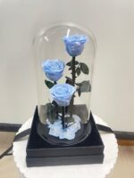 Blue Trio Forever Rose Dome