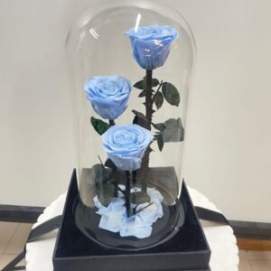 Blue Trio Forever Rose Dome
