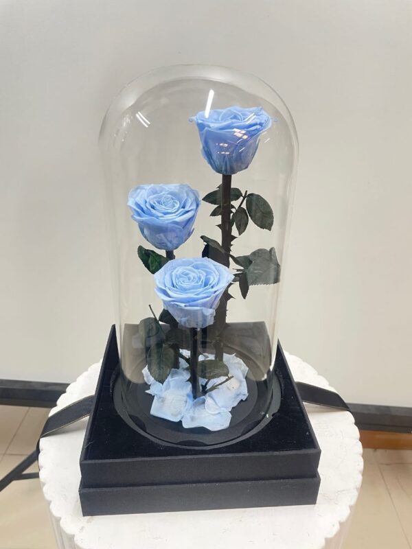 Blue Trio Forever Rose Dome