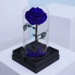 Eternal Blue Rose in Glass Dome