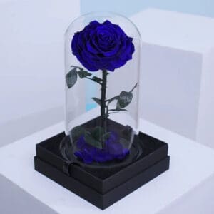 Eternal Blue Preserved Rose in Glass Dome