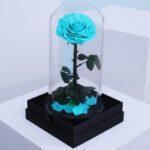 Forever Turquoise Rose in Dome