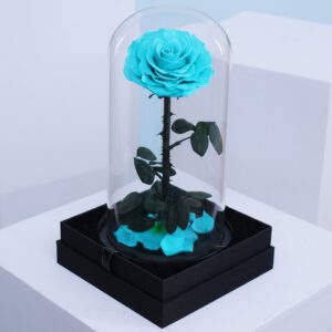 Forever Turquoise Rose in Dome
