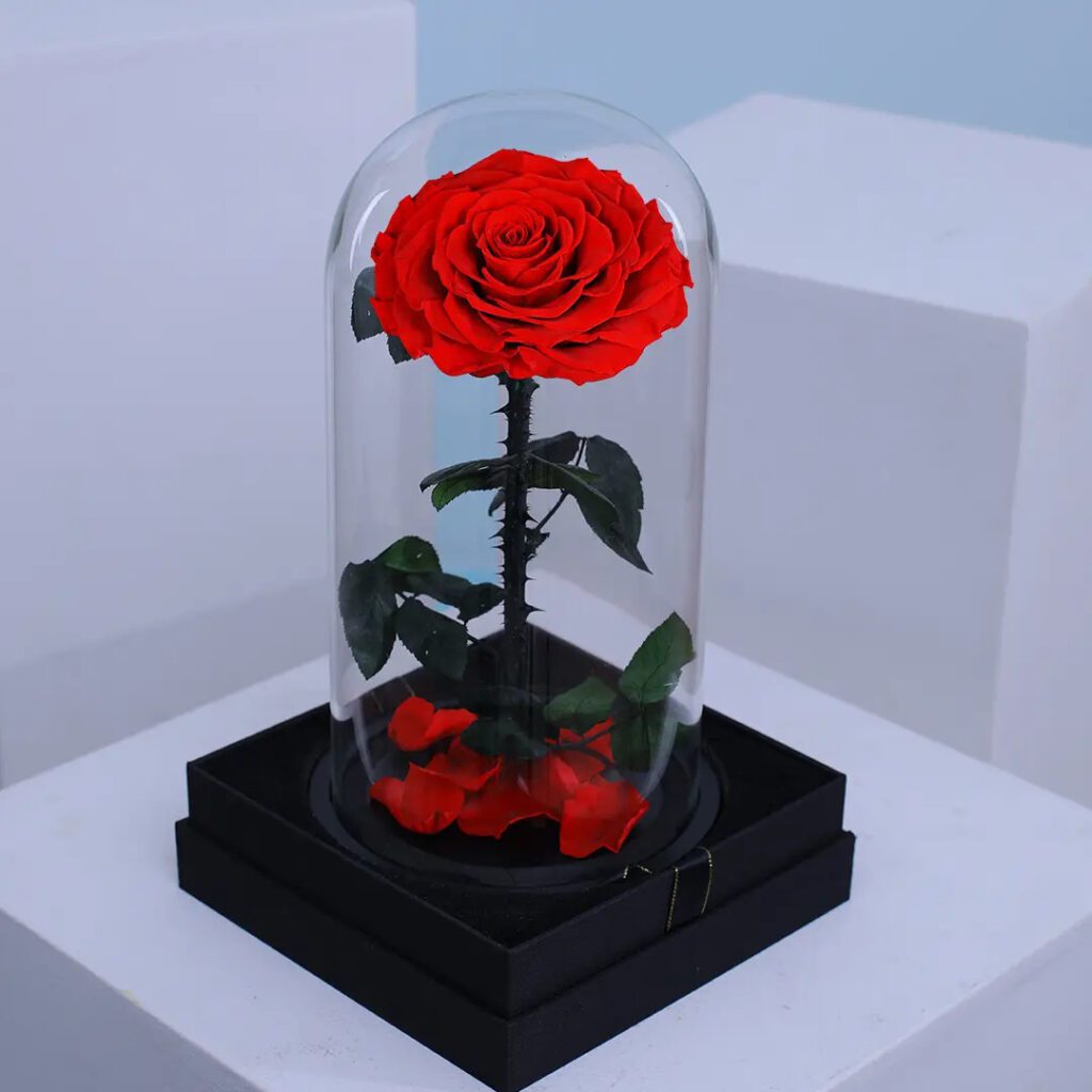 Red Forever Rose in Glass Dome