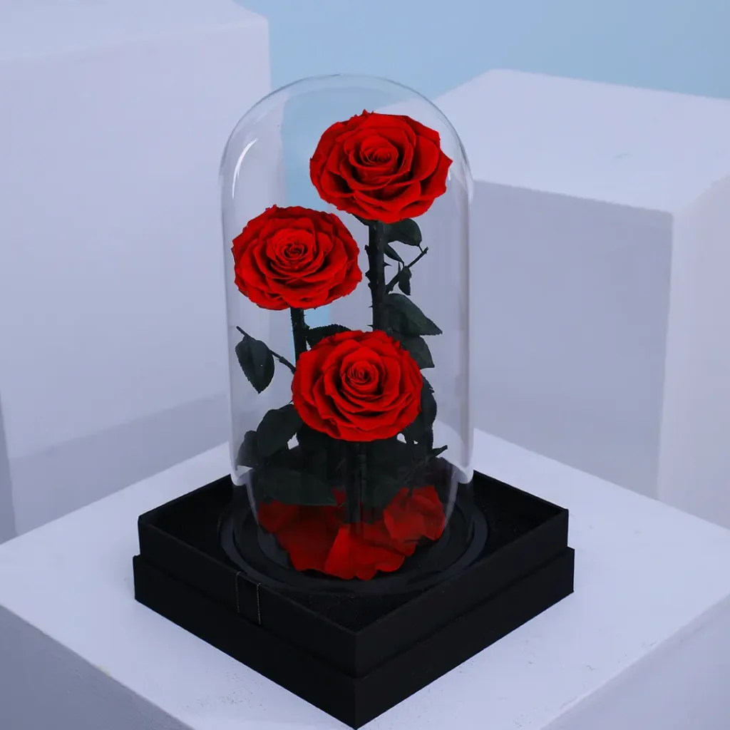 Preserved Red Rose Trio in a glass dome