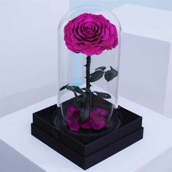 Single Purple Forever Rose in Glass Dome