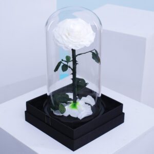 White Forever Rose in Glass Dome