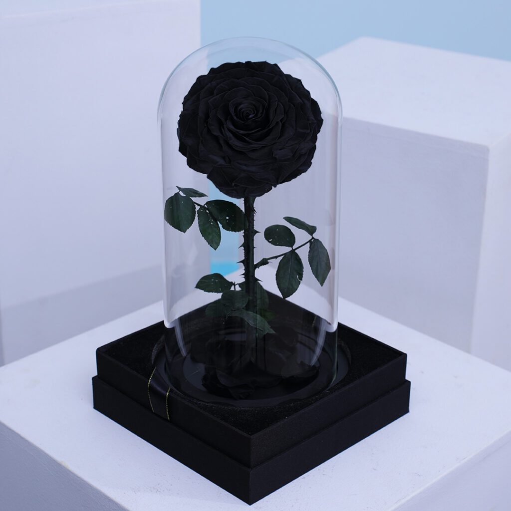 Black Forever Rose Dome