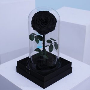 Black Forever Rose Dome