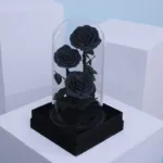 Black Trio Forever Rose (1)