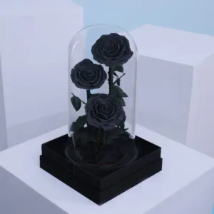Black Trio Forever Rose