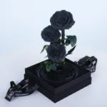 Black Trio Forever Rose (3)