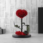 Rose Preserved Heart Red