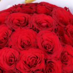 boundless-heart-red-roses_05