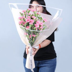 Light blush carnation flowers bundled together for a simple and graceful look