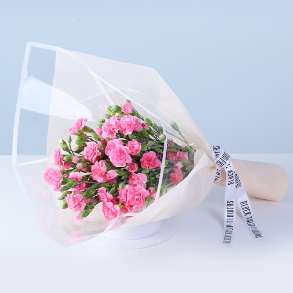 light-pink-carnation-bouquet_02