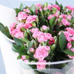 light-pink-carnation-ruscus-bouquet_05