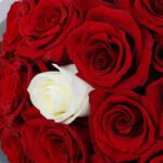 promise-of-love-roses-and-ferrero_05
