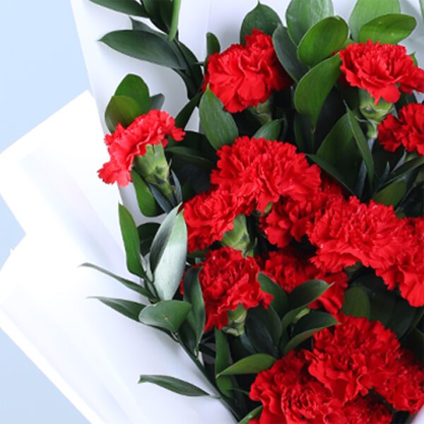 red-carnation-ruscus-hand-tied-bouquet_05