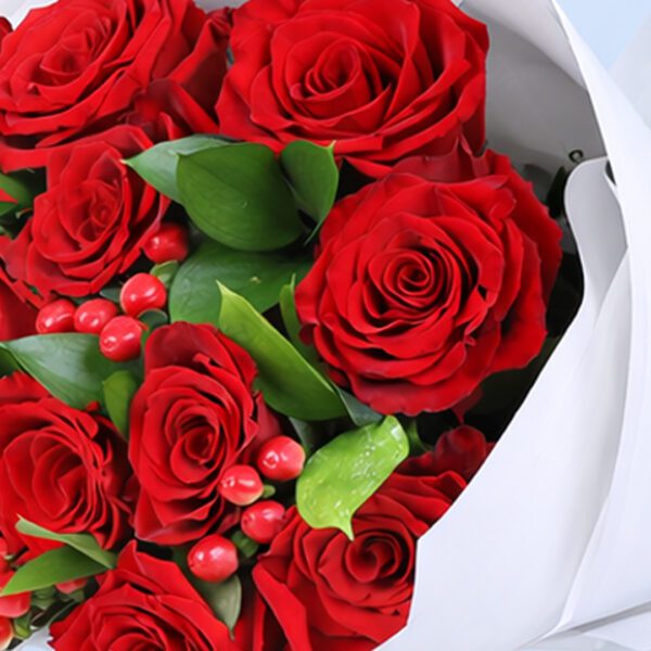 12-red-roses-valentine-bouquet_05