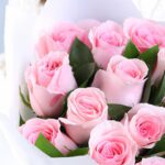 graceful-love-soft-pink-roses-with-green-leaves_05
