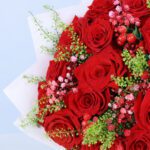 valentine-crimson-rose-gypso-bouquet_04