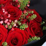 valentine-red-rose-elegance_04
