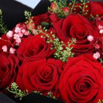 valentine-red-rose-elegance_05