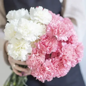bouquet of 20 stems of White Carnations and 20 branches of Pink Carnations.